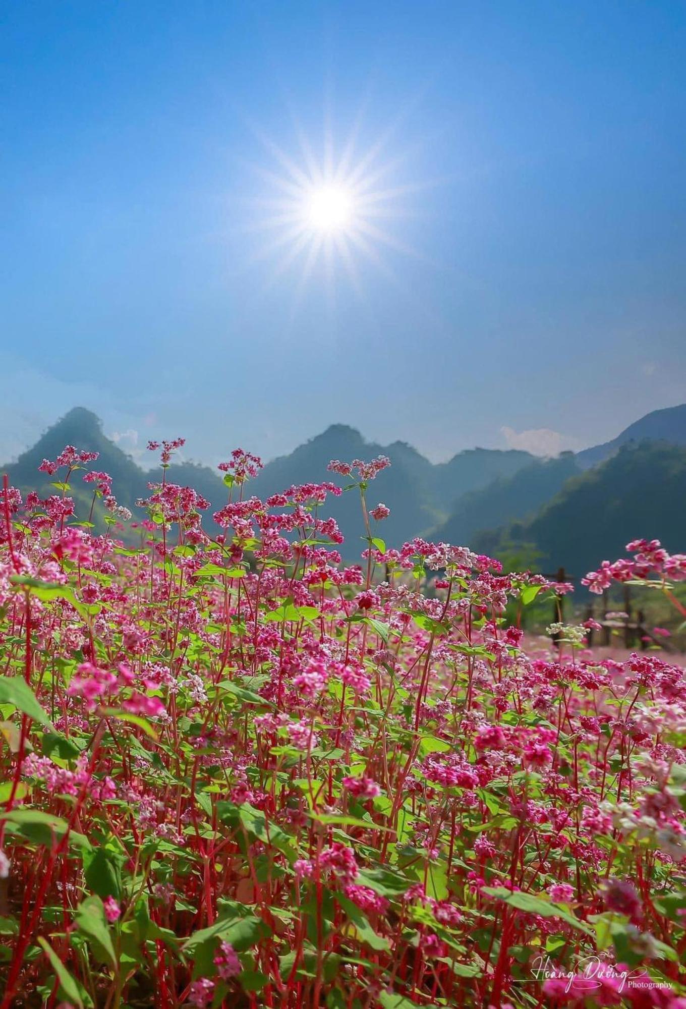 Thuy Anh Hotel Ha Giang Exterior photo